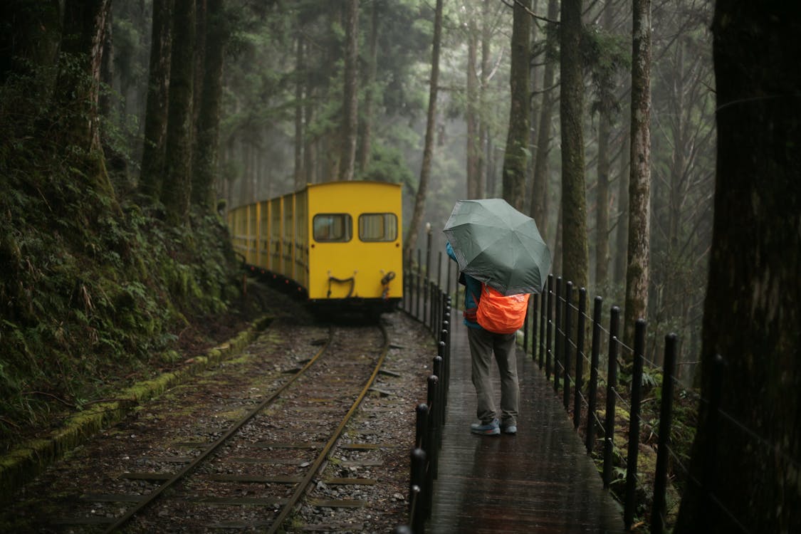 Alishan Forest Railway - scenic attraction in one of the best places to visit in Taiwan