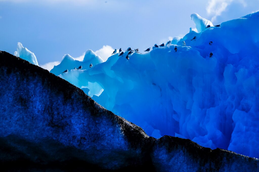 July travel destinations - Arctic expedition with glaciers and midnight sun")