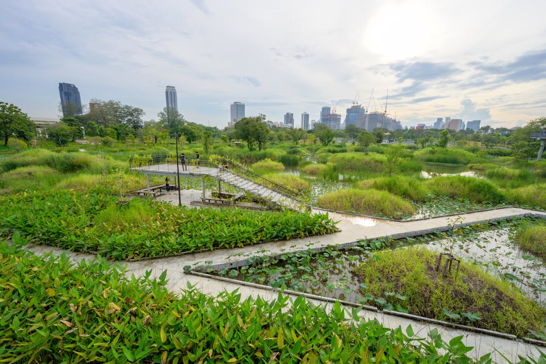 Bangkok outdoor adventures - Benjakitti Forest Park with elevated walkways and urban forest