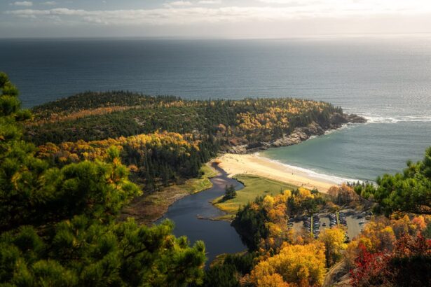 Best National Parks to Visit for Hiking & Wildlife Encounters