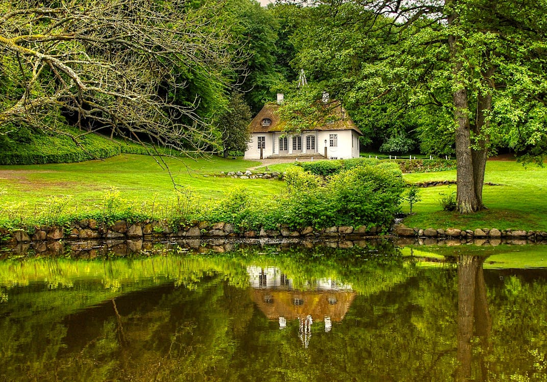 Charming thatched-roof cottage surrounded by lush green forest and reflected in a calm pond in the Danish countryside
