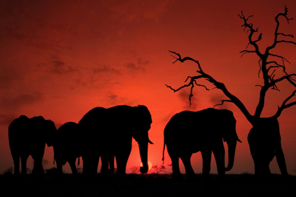 during first solo trip to Africa