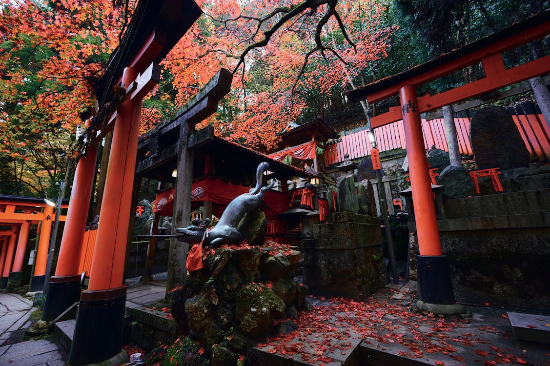 Koyo autumn leaf viewing at Japanese temple - festivals in Japan by month