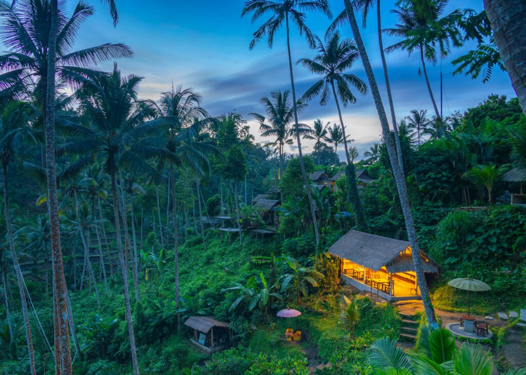 Stylish accommodation in Canggu, Bali, surrounded by swaying coconut trees and tropical greenery, offering a peaceful island escape