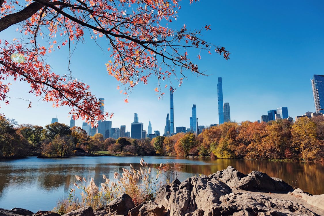 Fall foliage in Central Park, New York - one of the best destinations to visit in November for autumn colors