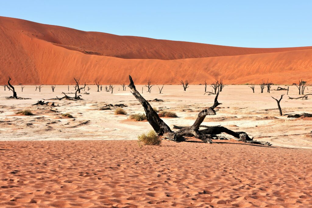 Sossusvlei red sand dunes in Namibia with lone traveler silhouette during first solo trip to Africa
