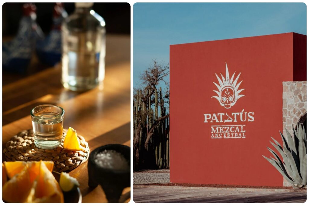 Traditional Mexican mezcal with accompaniments - best local foods to try in Mexico