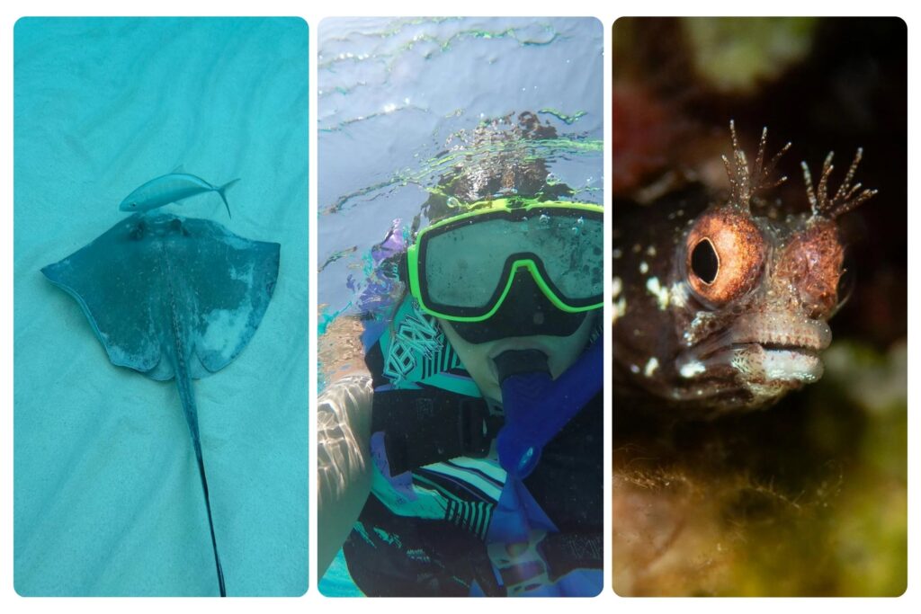 Divers exploring the Kittiwake wreck in Grand Cayman, showcasing the best diving resorts in the Caribbean