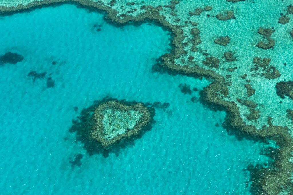 Great Barrier Reef best time