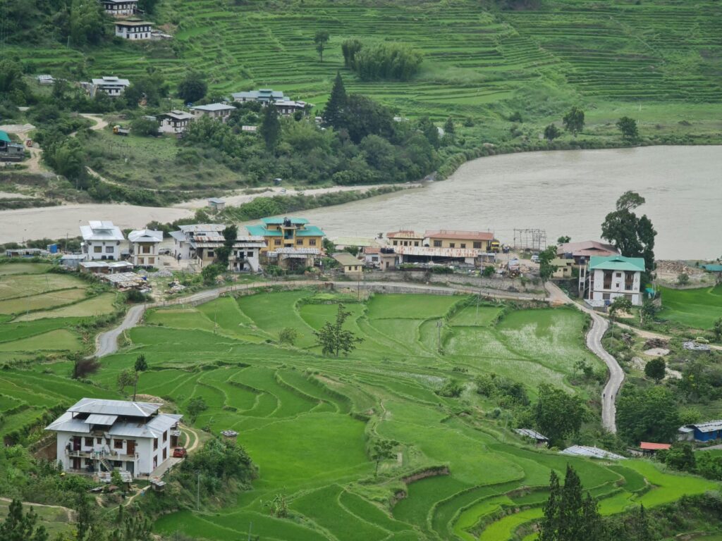 Scenic view of rice terraces and traditional houses along the riverside in Punakha Valley, Bhutan, surrounded by lush green hills