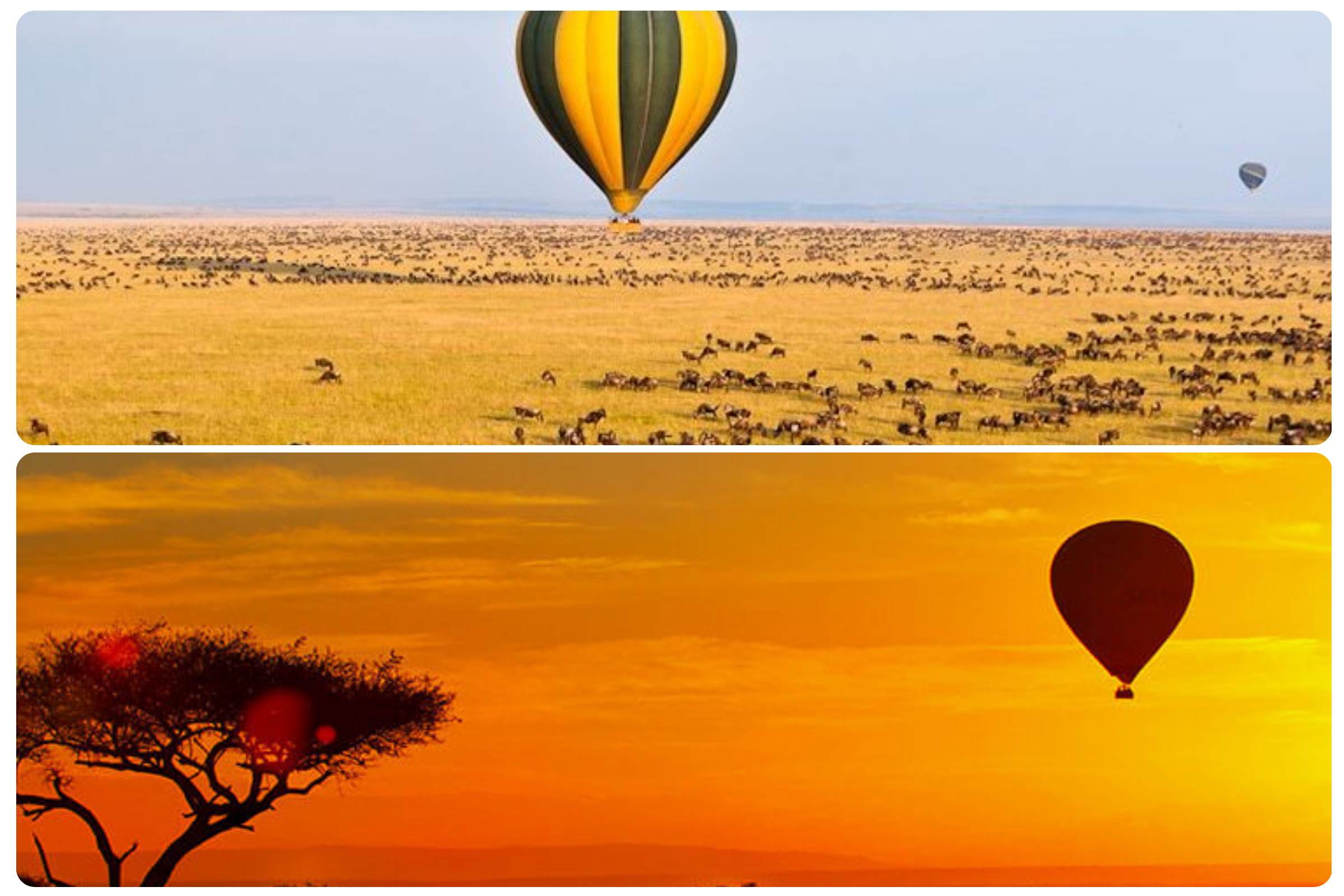 Masai Mara safari experience during a 4-5 day itinerary for a safari adventure in Kenya