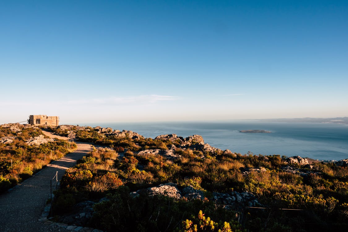Brown grass field in Cape Town