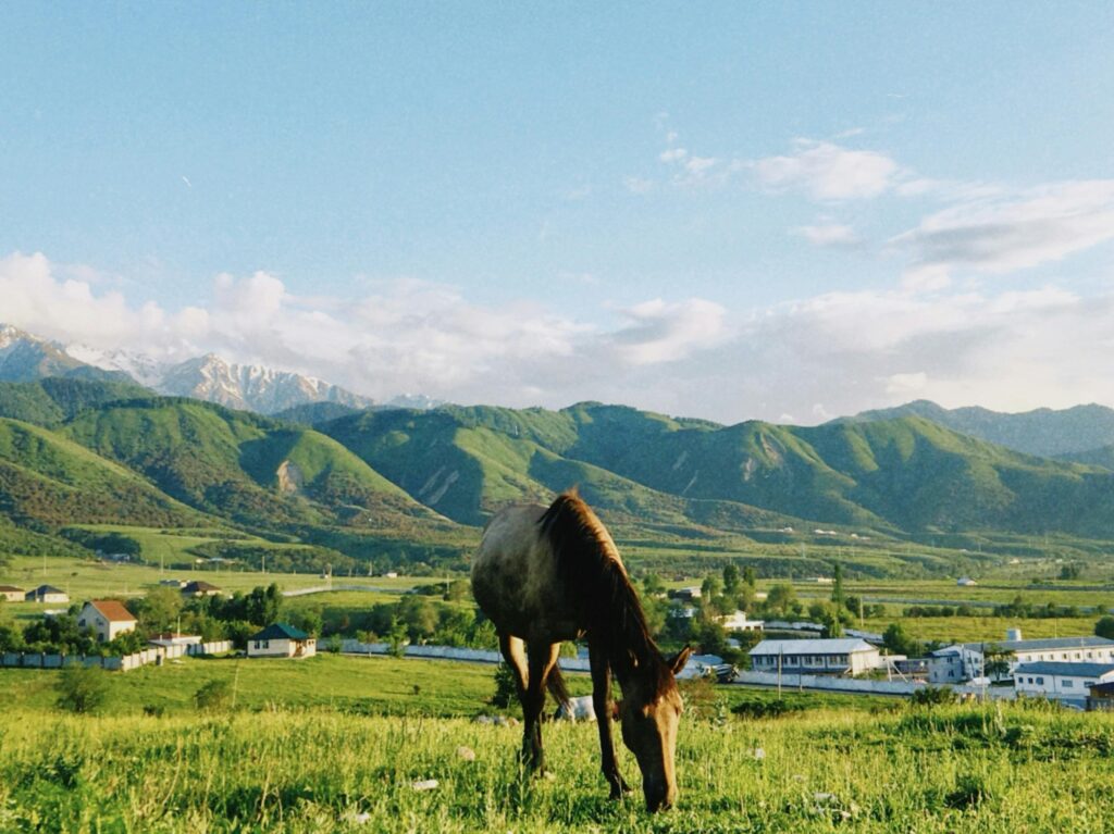 almaty region - best places to visit in Kazakhstan