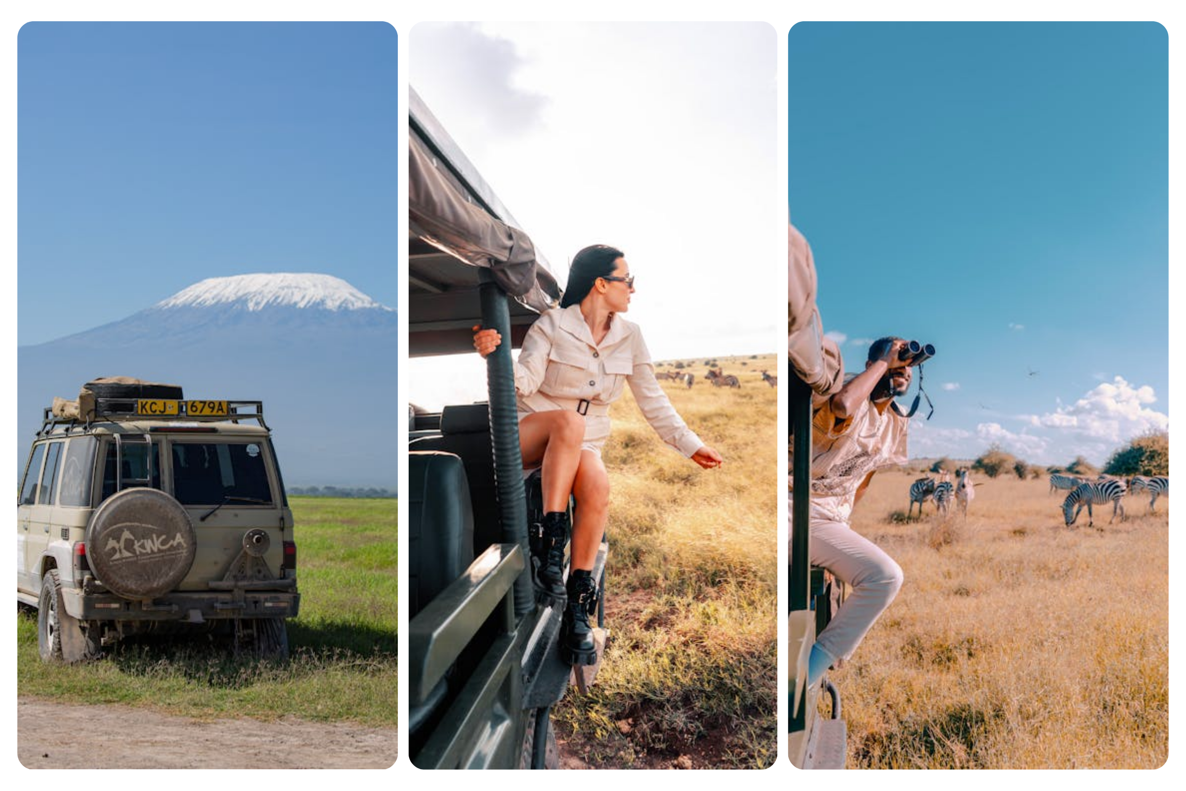 Kenya safari packages featuring lions during a 4-day safari itinerary