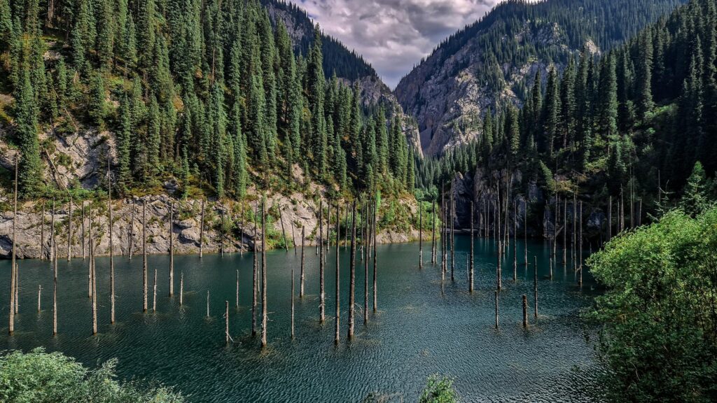 Lake Kaindy- sunken forest