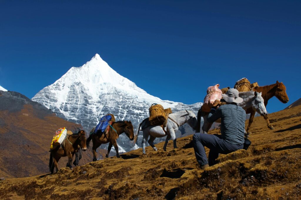 Merak-Sakteng Trek