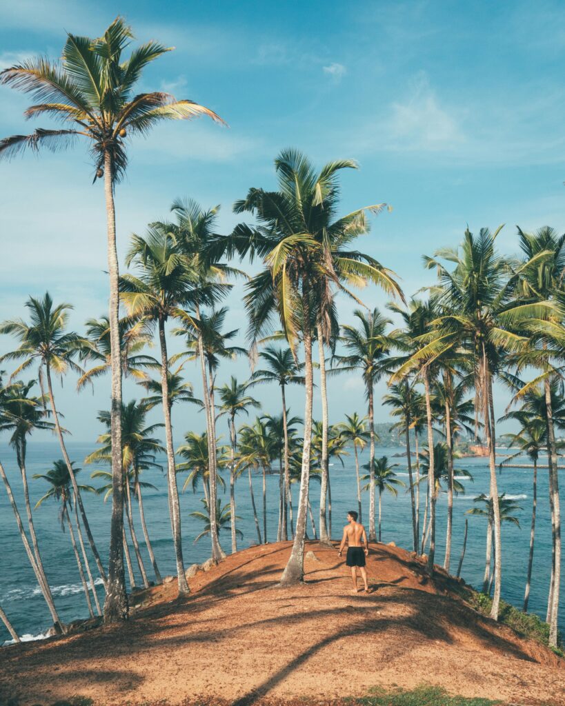 Mirissa best place to visit in Srilanka