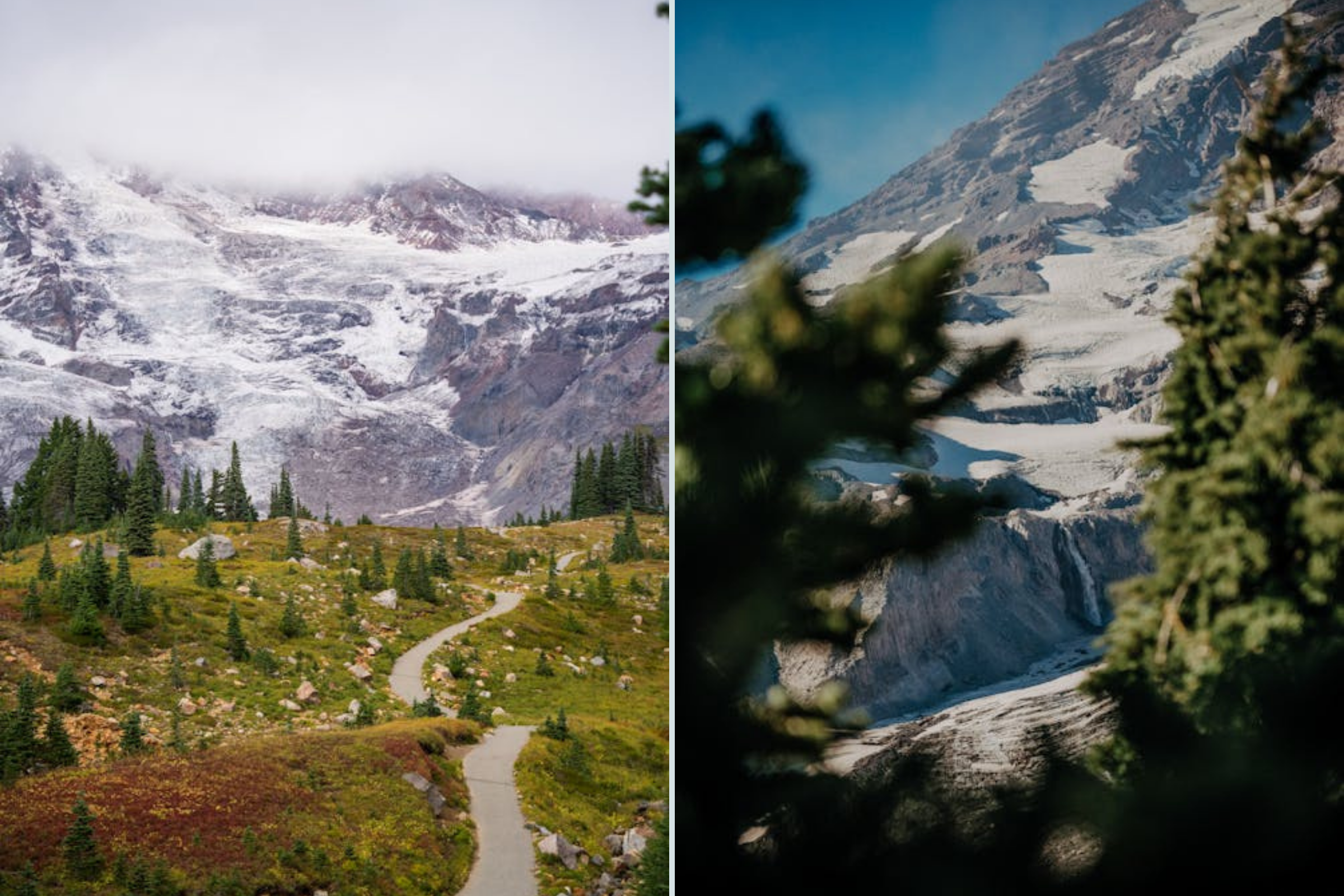 Scenic view of Mount Rainier National Park with snow-capped peak, alpine meadows, and evergreen forests under a clear blue sky