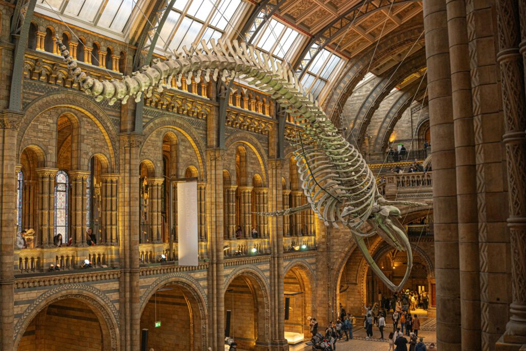 Natural History Museum in South Kensington, a family-friendly area to stay in London