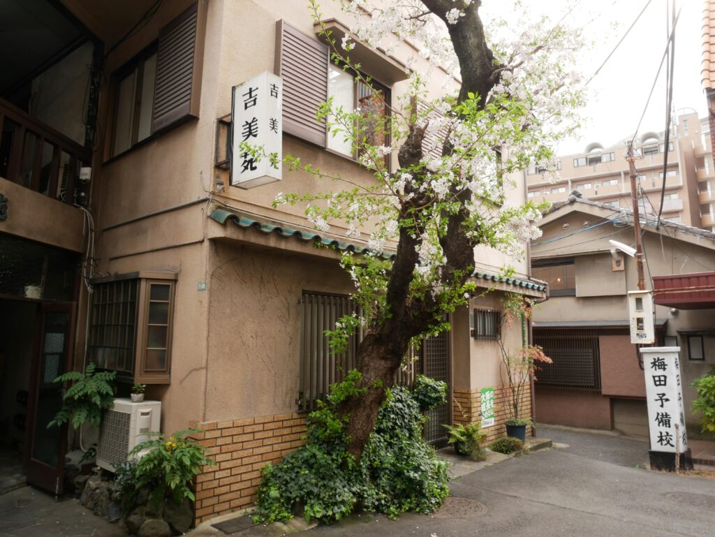 Osaka -best places to see cherry blossom tree
