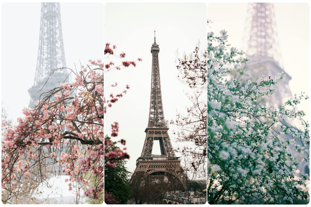 Eiffel Tower surrounded by blooming trees in Paris, France - a romantic April destination