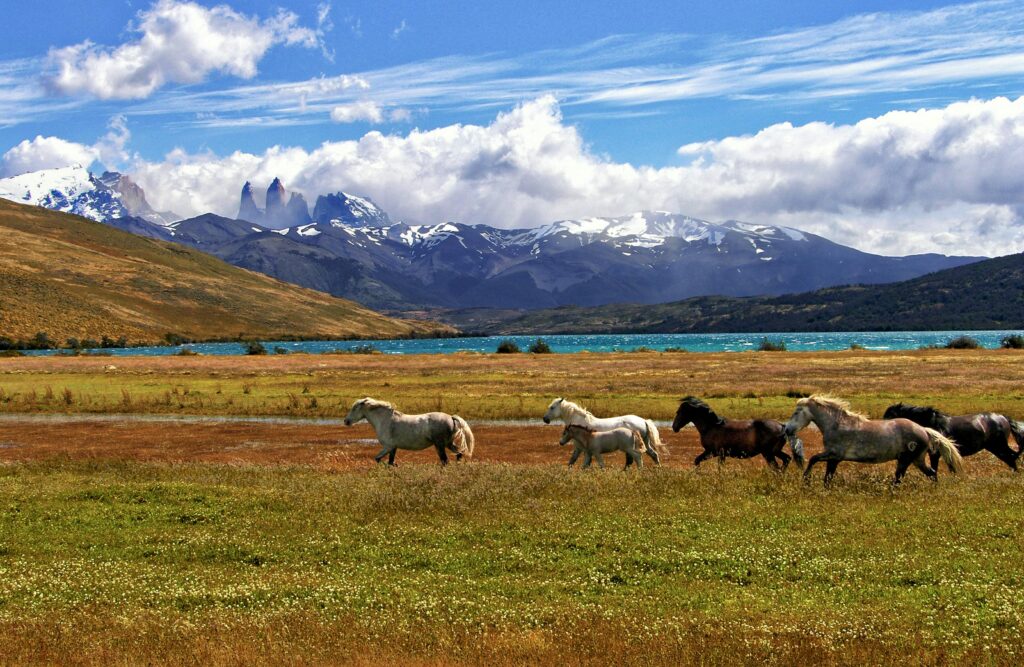 Patagonia - best destinations to visit in Chile