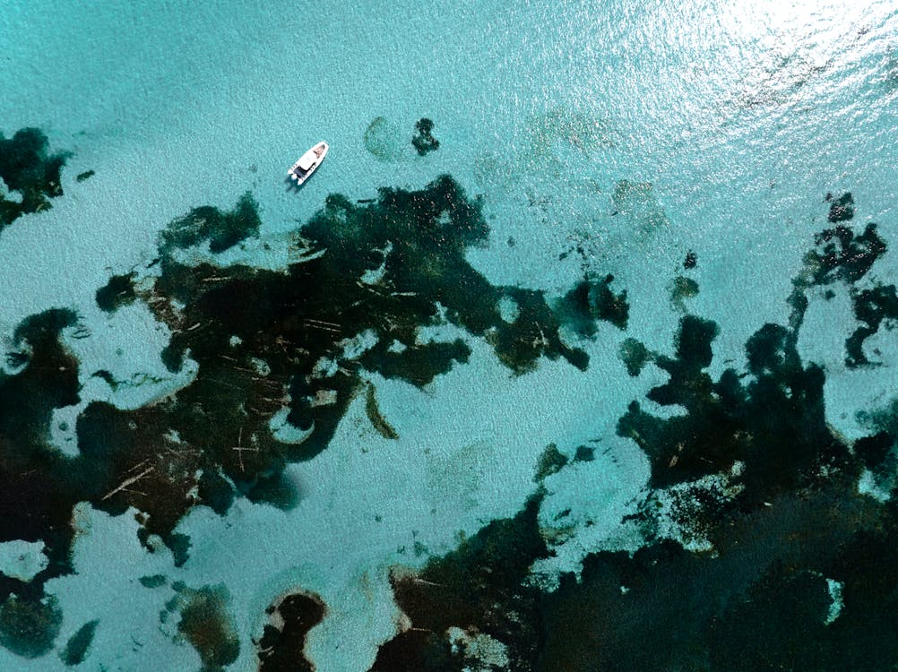 Motorboat floating on turquoise waters near Rottnest Island with clear skies and scenic coastline in Western Australia