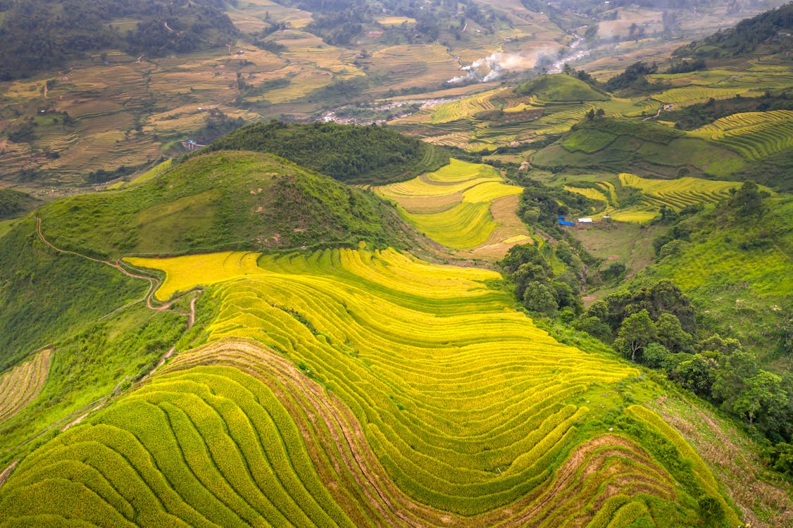 Scenic view of terraced rice fields in Sapa, Vietnam, surrounded by mountains and lush greenery