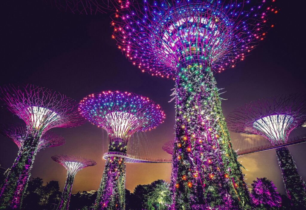 Illuminated Supertrees at Gardens by the Bay, among the best places to visit in Singapore for futuristic nature experiences