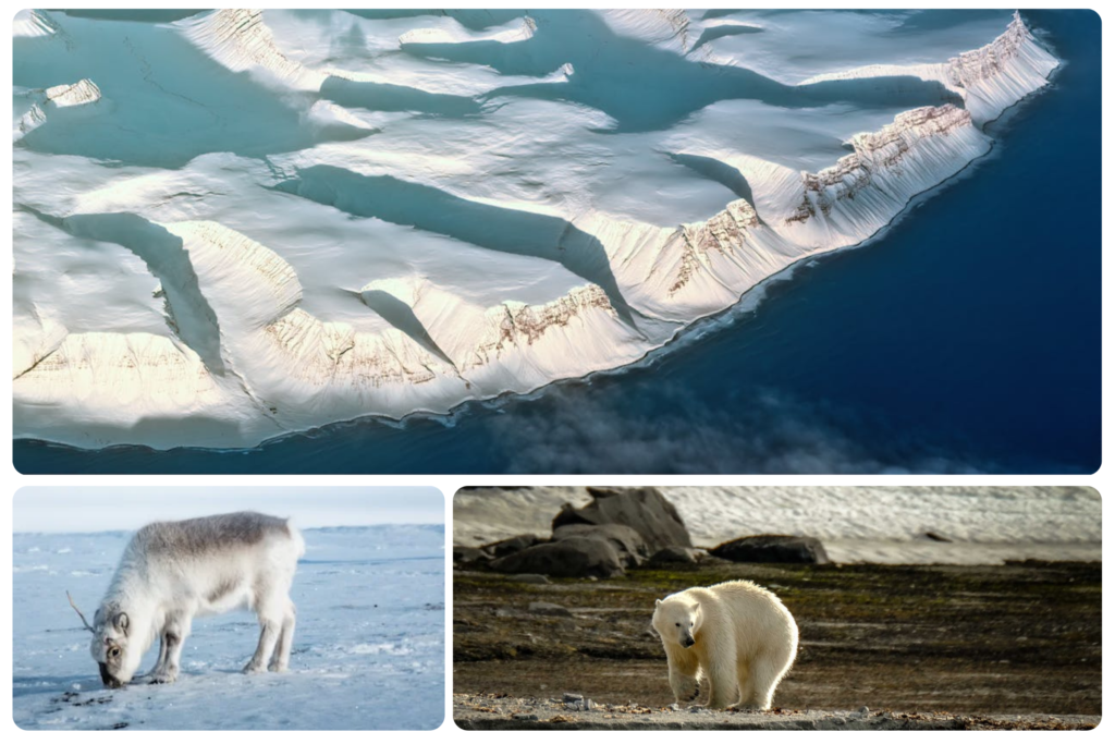 Best places to visit in Norway - Svalbard's pristine Arctic landscapes with wildlife