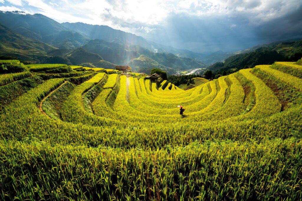 Sapa trekking destinations with stunning terraced rice fields, among the best places to visit in Vietnam"