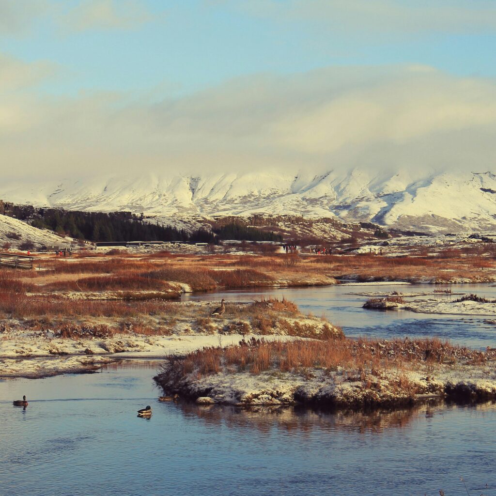 best place to chase northen light in iceland Thingvellir National Park
