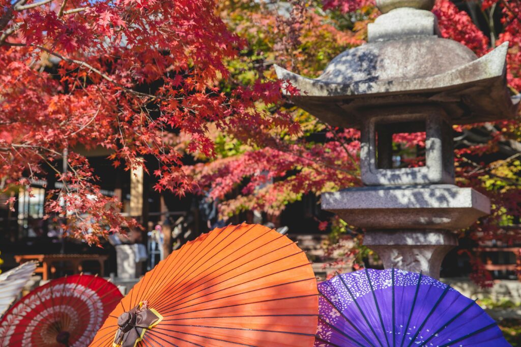 Traditional Japanese garden during autumn, representing the diverse seasonal beauty during the best time to visit Japan