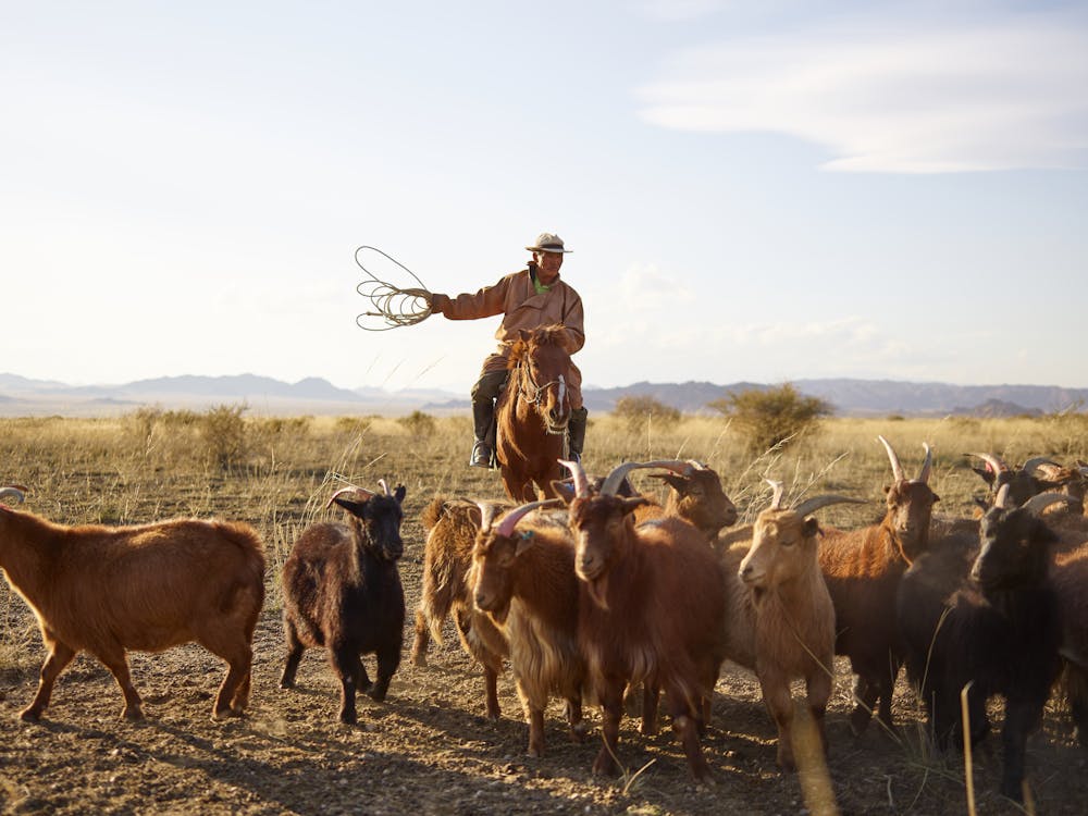 Tsaatan reindeer herders - unique cultural experience in Mongolia travel