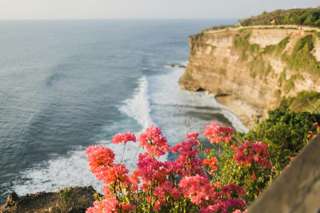 Breathtaking cliff and ocean views