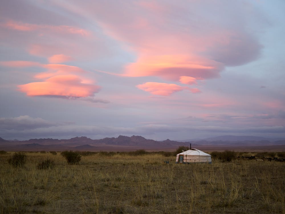 Mongolian steppe landscape - essential scene in any Mongolia travel guide
