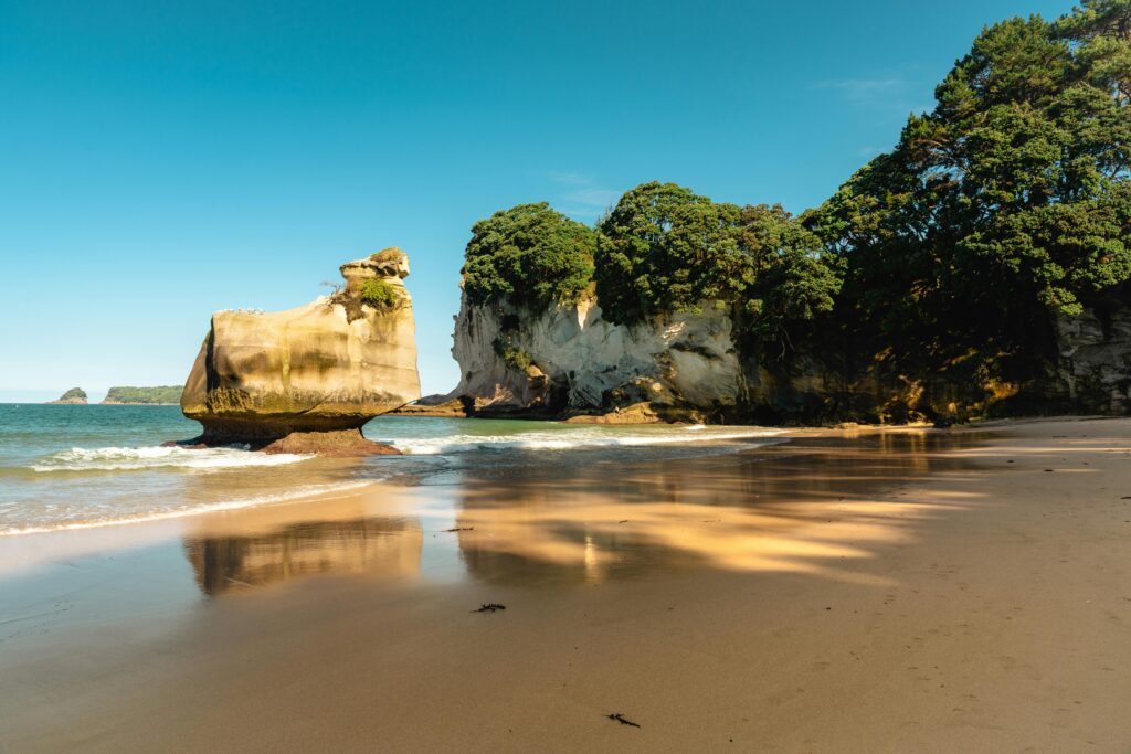 Whitianga Newzealand