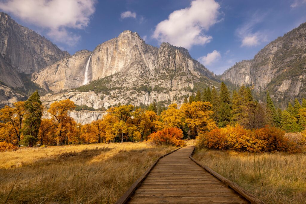 Yosemite National Park