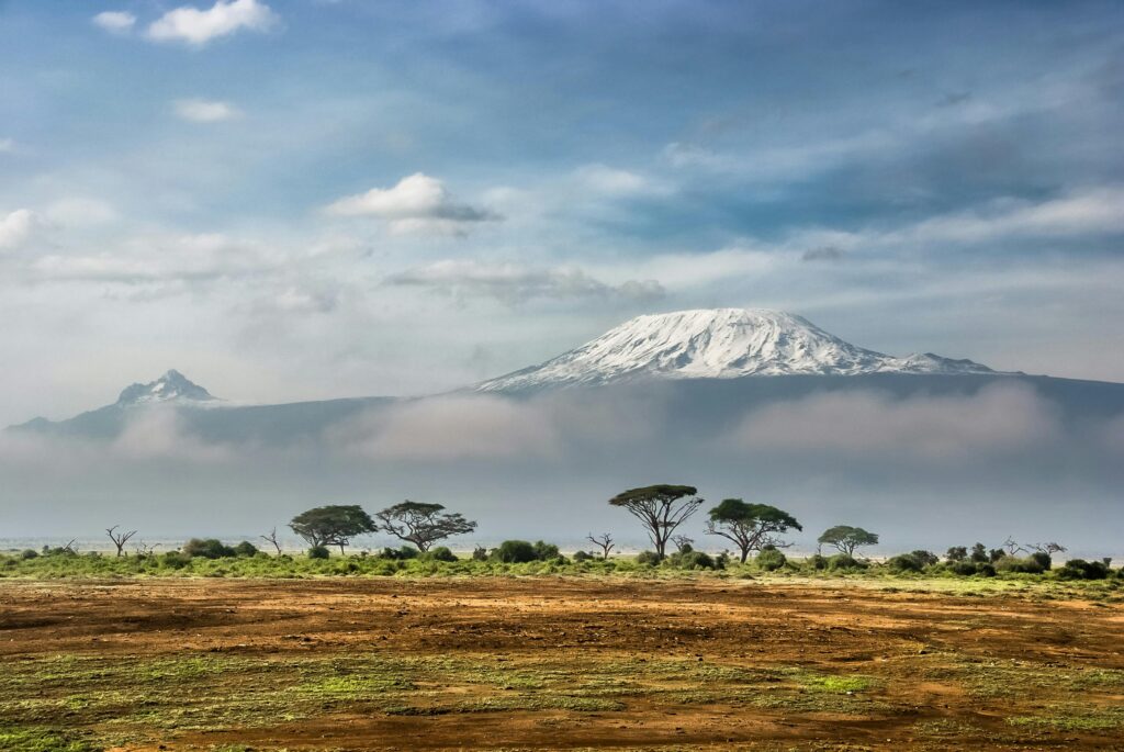 Best places to go in July - Wildlife safari in Kenya during the dry season