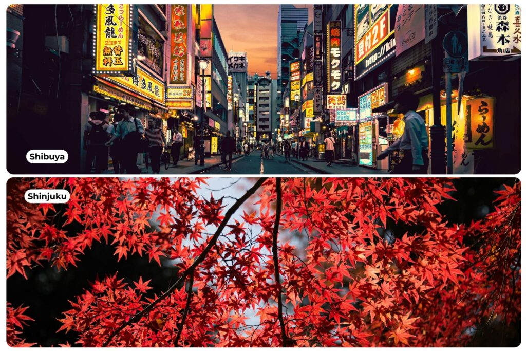 Japan Urban Solo Adventure