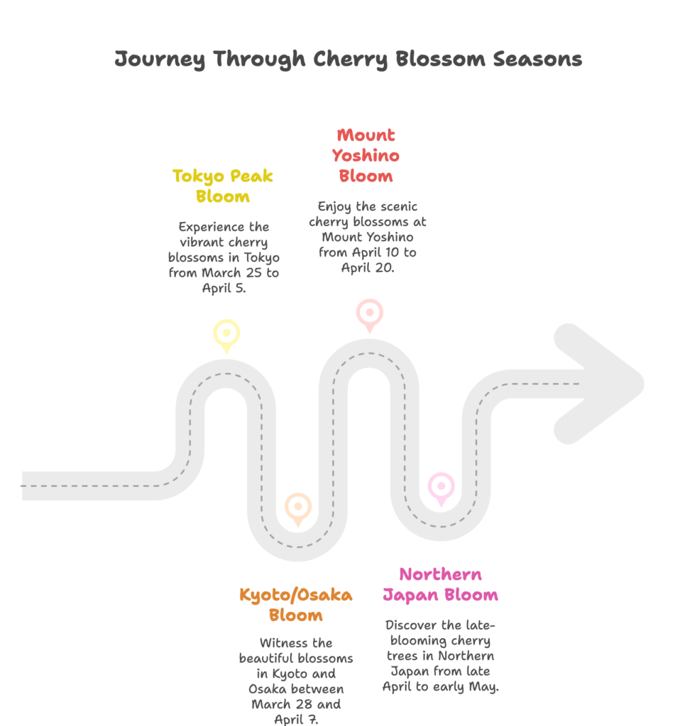 best time to visit japan during cherry blossom season