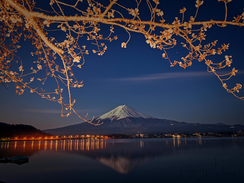 Snow-capped Mount Fuji at night reflected in Lake Kawaguchi, framed by blooming cherry blossom branches in Japan