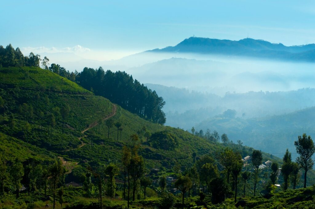 nuwara srilanka bucket list