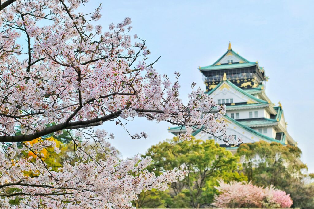 top place to visit in Japan for sakura