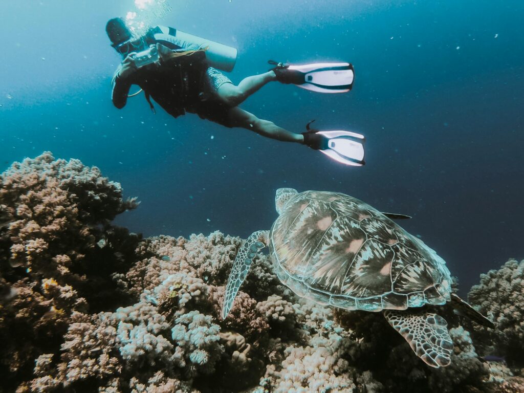 Divers exploring vibrant coral reefs in the Philippines, highlighting the best diving resorts in Southeast Asia