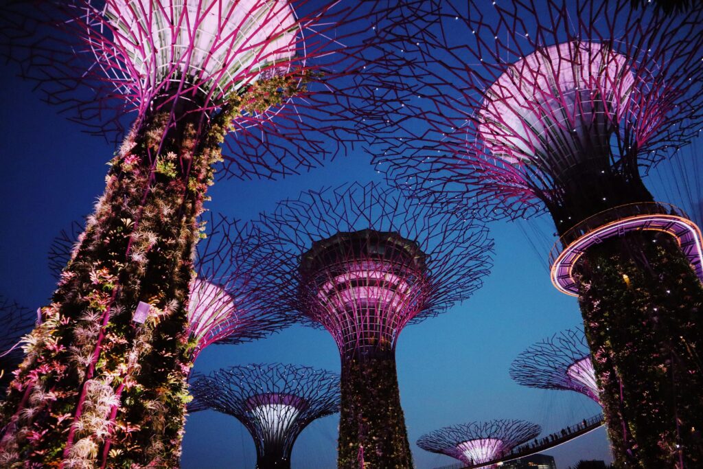 Illuminated Supertree Grove at Gardens by the Bay in Singapore during nighttime, with futuristic tree-like structures glowing in vibrant pink and purple lights.