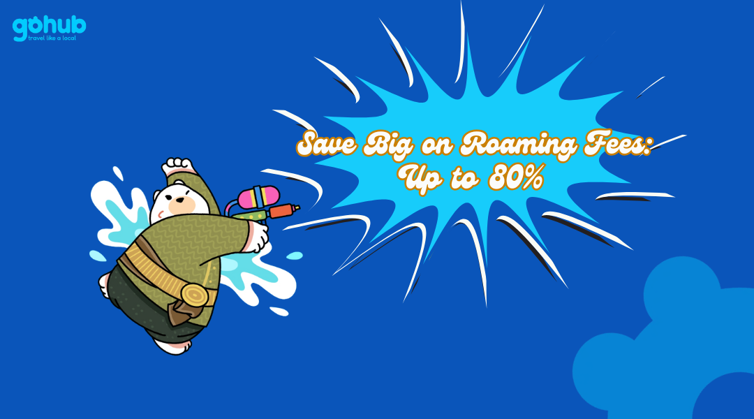 Save Big on Roaming Fees