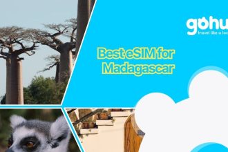 Best eSIM for Madagascar