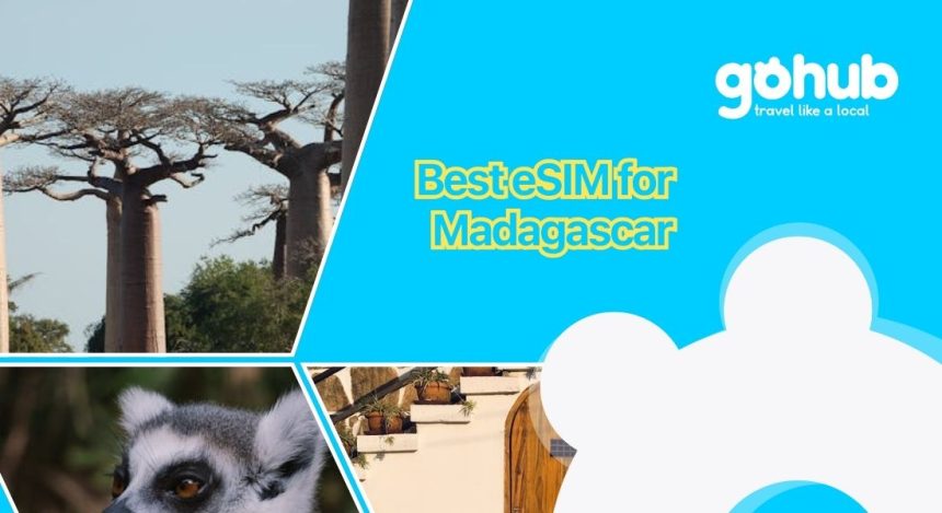 Best eSIM for Madagascar