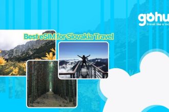 Best eSIM for Slovakia Travel